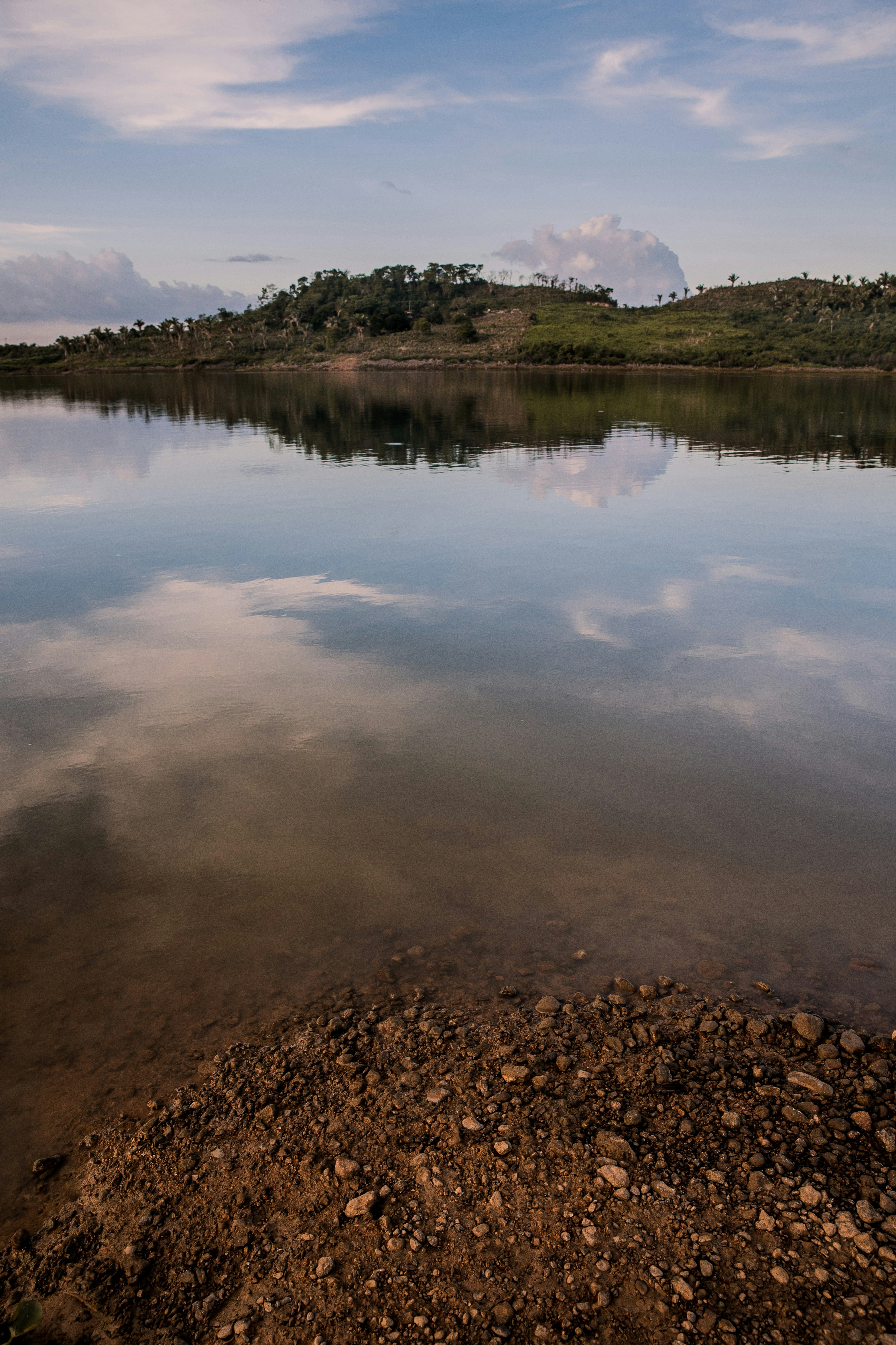 body of water near trees during daytime